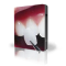 Porcelaensfacader